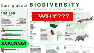 Why Biodiversity Matters🔥Let's dive into the deep😖