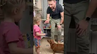 Преступный сговор😃 