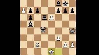 My first chess puzzle