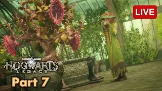 🔴Hogwarts Legacy Livestream PART 7 | zkael★