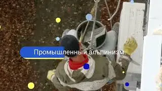 Title