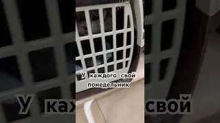 Мне одной не по силам такие суммы. Прошу помогайте. Реквизиты в профиле. Подробно в телеграмм