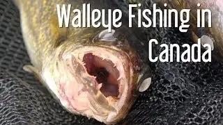 23. Fishing for Walleye and Bass Lake of the Woods Ontario Canada The Boat Life Daily Vlog