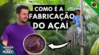 COMO É A FABRICAÇÃO DE AÇAI ( FLORESTA AMAZÔNICA )
