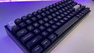 Zeal Clickiez (40g) Sound Test in Tofu80 with pc plate.