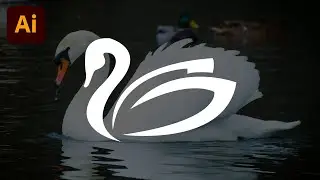 Animal logo design with illustrator || Swan logo