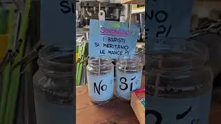 Mancia al bar sondaggio