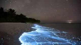 Dr K & Nii Vs.Shiha Ft. Sarah Blacker - Am Alive (Martin Roth 'Home Is Where We Belong' Remix)