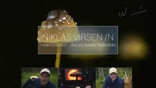 I makrovärlden  - Råd om kreativ makrofotografering.