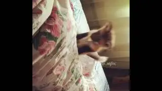 Лис Диего учится мышковать