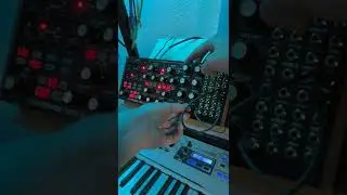 Moog Subharmonicon has entered the chat 