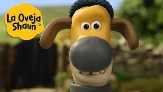 La Oveja Shaun 🐑 ¡Perro loco! 🐑 Dibujos animados para niños