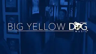 Big Yellow Dog - Meet Belmont Alumni on Music Row
