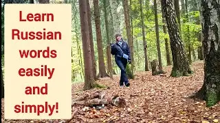 Learn Russian words | Learn Russian vocabulary | Autumn forest in Russia 