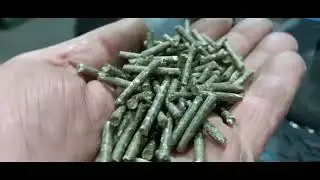 Гранулятор первому покупателю