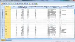 Formation SPSS: Importation et codage automatique des données sur SPSS