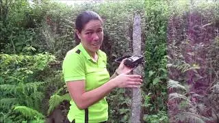 Introducción al fototrampeo. ¿Qué fauna hay al lado de casa?