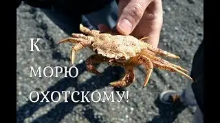 #КАМЧАТКА