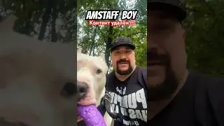 удалён Амстафф Бой 