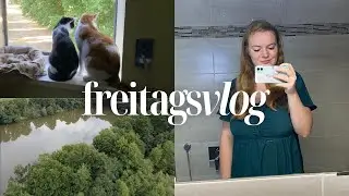 Der Schatten der Erschöpfung & seine inneren Prozesse | Freitagsvlog #86