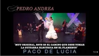 Pedro Andrea - Electric Guitar Flamenco Project