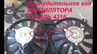 Forced activation of the Gazelle 4216 fan