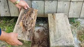 LEGNO MARCIO CASA DI LEGNO QUANDO DIVENTA MARCIO E DURATA DEL LEGNO