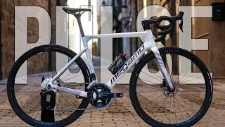 Nueva Megamo Pulse Elite 15 SH12 2024