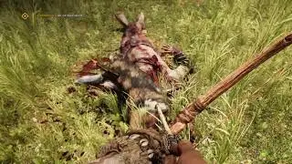 Играем в Far Cry Primal Day 2