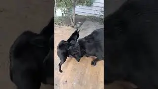 И так каждый день