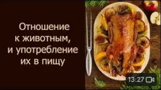 Отношение к животным и употребление их в пищу
