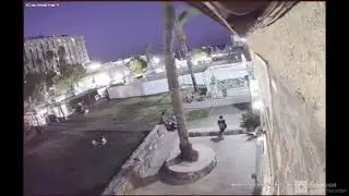 ПАЛЬМА УБИЛА ЧЕЛОВЕКА