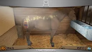 My Riding Stables : Life With Horses (part 1) (Horse Game)