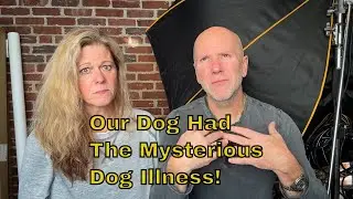 Is Your Dog Sick? Know the Symptoms, Treatments & When to Get Help! Mysterious Dog Illness 2023