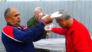Ярмарка голубей в Гусь-Хрустальном 20.07.19.