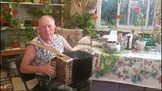 Гармонь Борских Мастеров ЛЯдиез.