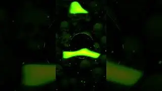 𝐂𝐔𝐀𝐍𝐃𝐎 𝐒𝐄 𝐓𝐄 𝐌𝐎𝐉𝐀 𝐋𝐀 𝐓𝐀𝐑𝐄𝐀 𝟐💀🎧🎵 #music  #funk #shorts #slowed #avee_player #shorts
