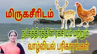 Mrigaseerisham nakshatra || மிருகசீரிடம் நட்சத்திரத்தின்  ரகசியங்கள் ,எளிய வாழ்வியல் பரிகாரங்கள் ||