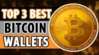 Top 3 Best Bitcoin And Cryptocurrency Wallets To Use