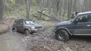 Сусанин реверс