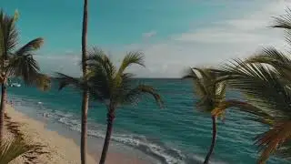 Can't Sleep? Over 7 Hours of Background Calming Piano Music for Sleep, Stress Relief & Relaxation