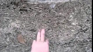 Пристройка из арболита . Часть 10.Выбор состава.