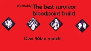 Probably The best survivor bloodpoint build!