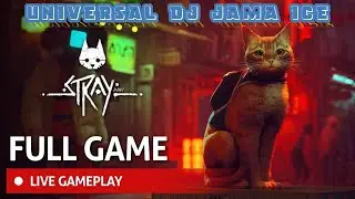 STRAY Experts Reveal Shocking Game Secrets You Never Knew!