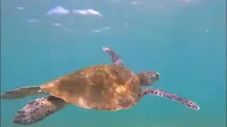 Sri Lanka Trailer By Clipper Travel 05