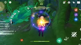 One of the satisfying things in Genshin Impact