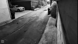 Alley Rat - September 12, 2019 at 5:51 am