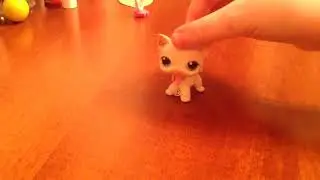 Что стало с лизуном через 1 НЕДЕЛЮ????/Ксения Кусь