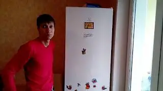 Обзор техники.  Холодильник Indesit DS 4200 W