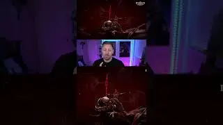 FINALLY PETS IN ACTION IN DIABLO IMMORTAL